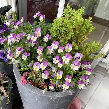 Large With A Lovely Garden, Perfect For Families! ברגן