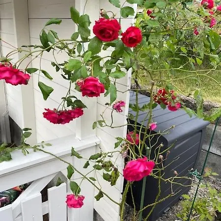 Large With A Lovely Garden, Perfect For Families! * Bergen